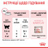 Сухий корм для новонароджених кошенят і кішок ROYAL CANIN MOTHER/BABYCAT 2 кг